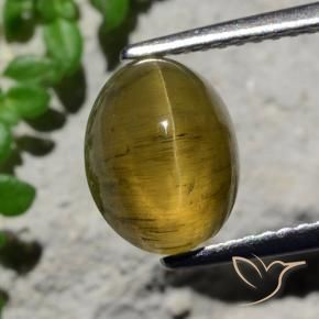 Apatite occhio di gatto Caffè Marrone naturale da 3.23 ct, Ovale, Traslucido