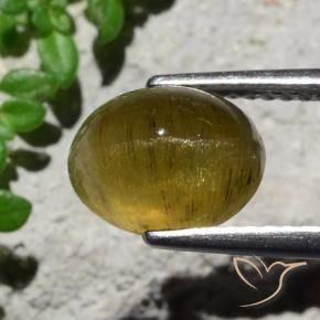 Apatite occhio di gatto Caffè Marrone naturale da 3.23 ct, Ovale, Traslucido