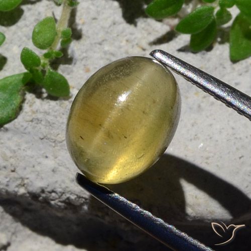 2.38ct Naturale Giallo chiaro Apatite effetto occhio di gatto, Ovale, Traslucido
