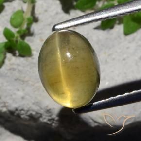Apatite occhio di gatto Giallo chiaro naturale da 2.38 ct, Ovale, Traslucido