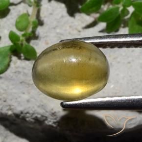 Apatite occhio di gatto Giallo chiaro naturale da 2.38 ct, Ovale, Traslucido