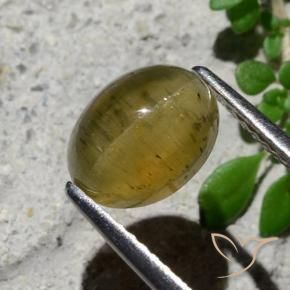 Apatite occhio di gatto Giallo medio naturale da 2.16 ct, Ovale, Traslucido