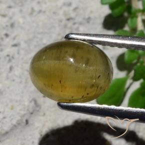 Apatite occhio di gatto Giallo medio naturale da 2.16 ct, Ovale, Traslucido