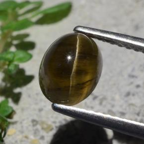 Apatite occhio di gatto Marrone medio-scuro naturale da 2.01 ct, Taglio ovale, Traslucido