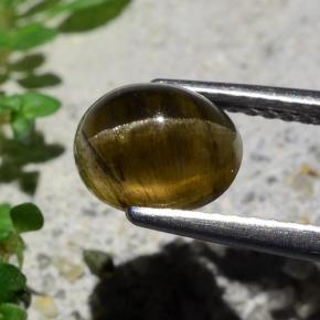 Apatite occhio di gatto Marrone medio-scuro naturale da 2.01 ct, Taglio ovale, Traslucido