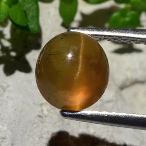 Apatite occhio di gatto Arancione naturale da 2,17 ct, Taglio rotondo, Traslucido