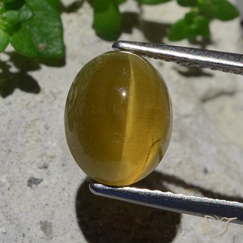 3.87ct Naturale Giallo terroso Apatite effetto occhio di gatto, Ovale, Traslucido