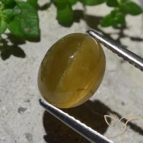 Apatite occhio di gatto Giallo terroso naturale da 3.87 ct, Ovale, Traslucido