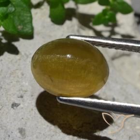 Apatite occhio di gatto Giallo terroso naturale da 3.87 ct, Ovale, Traslucido