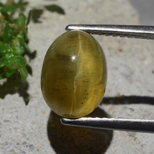 Apatite occhio di gatto Giallo brunastro naturale da 4.28 ct, Taglio ovale, Traslucido