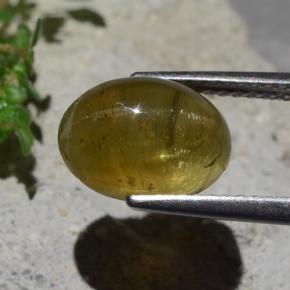 Apatite occhio di gatto Giallo brunastro naturale da 4.28 ct, Taglio ovale, Traslucido