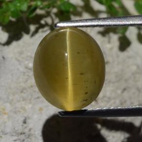 Apatite occhio di gatto Verde dorato naturale da 4,46 ct, Taglio ovale, Traslucido