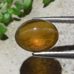 Cat's eye apatite naturale verde da 2,93 ct, taglio ovale, traslucido
