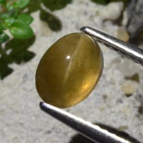 Apatite occhio di gatto Verde dorato naturale da 1.64 ct, Taglio ovale, Traslucido