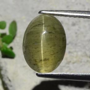 Apatite occhio di gatto Verde scuro naturale da 3.73 ct, Taglio ovale, Traslucido