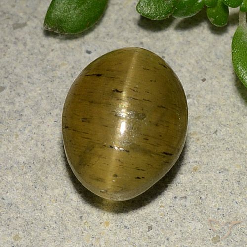 4.09ct Naturale Giallo Marrone Apatite effetto occhio di gatto, Ovale, Traslucido