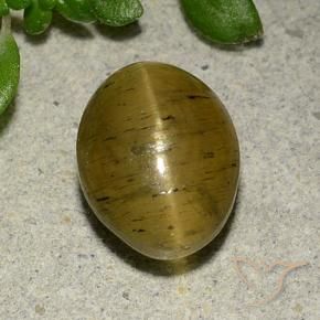 Apatite occhio di gatto Giallo Marrone naturale da 4.09 ct, Ovale, Traslucido