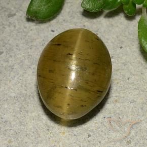 Apatite occhio di gatto Giallo Marrone naturale da 4.09 ct, Ovale, Traslucido