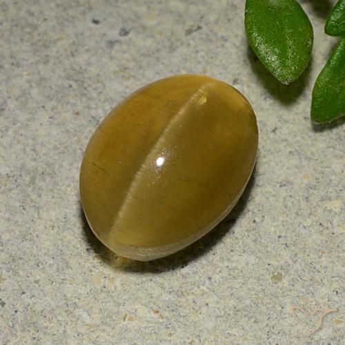 3.14ct Naturale Giallo Marrone Apatite effetto occhio di gatto, Ovale, Traslucido