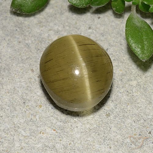 2.70ct Naturale Giallo medio Apatite effetto occhio di gatto, Ovale, Traslucido