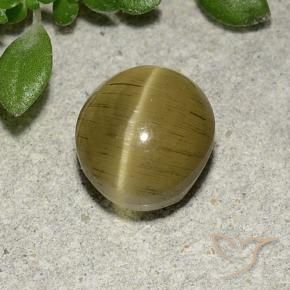 Apatite occhio di gatto Giallo medio naturale da 2.70 ct, Ovale, Traslucido