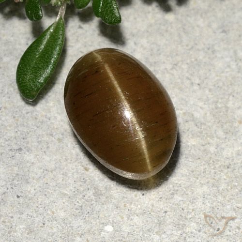 Apatite occhio di gatto Marrone caldo naturale da 2.64 ct, Taglio ovale, Traslucido