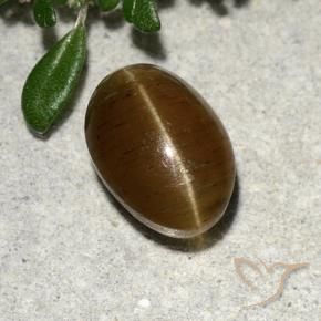 Apatite occhio di gatto Marrone caldo naturale da 2.64 ct, Taglio ovale, Traslucido