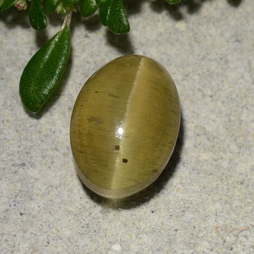2.88ct Naturale Giallo brunastro Apatite effetto occhio di gatto, Ovale, Traslucido
