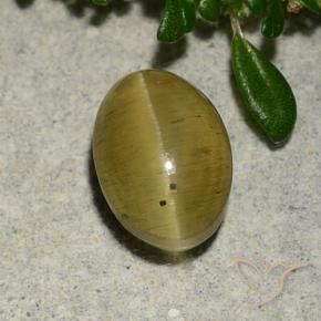Apatite occhio di gatto Giallo brunastro naturale da 2.88 ct, Ovale, Traslucido