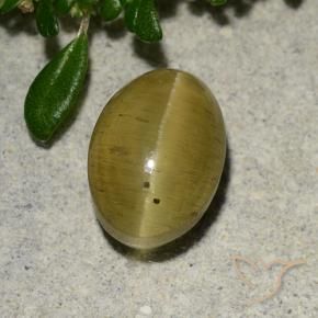 Apatite occhio di gatto Giallo brunastro naturale da 2.88 ct, Ovale, Traslucido