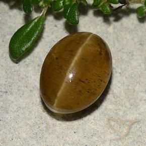 Apatite effetto occhio di gatto Marrone caldo naturale da 3.10 ct, Ovale, Traslucido