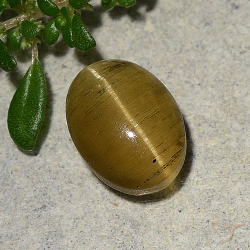 2.46ct Naturale Giallo brunastro Apatite effetto occhio di gatto, Ovale, Traslucido
