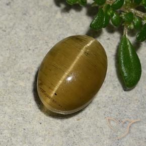 Apatite occhio di gatto Giallo brunastro naturale da 2.46 ct, Ovale, Traslucido