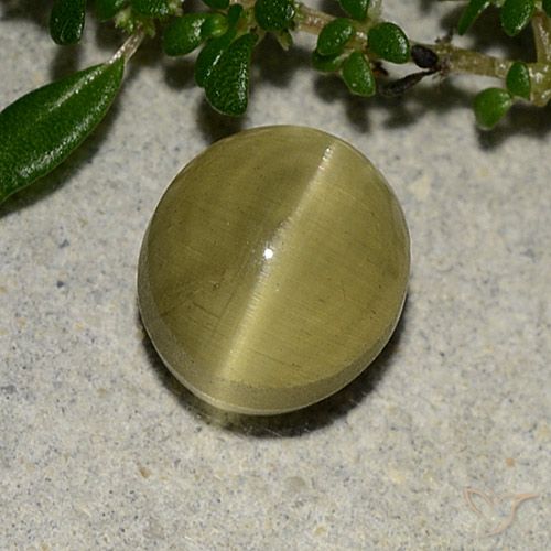 3.09ct Naturale Giallo terroso Apatite effetto occhio di gatto, Ovale, Traslucido