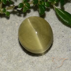 Apatite occhio di gatto Giallo terroso naturale da 3.09 ct, Ovale, Traslucido
