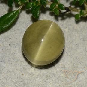 Apatite occhio di gatto Giallo terroso naturale da 3.09 ct, Ovale, Traslucido