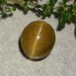 Cat's eye apatite naturale dorato da 2,60 ct, taglio ovale, traslucido