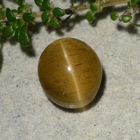 Cat's eye apatite naturale dorato da 2,60 ct, taglio ovale, traslucido