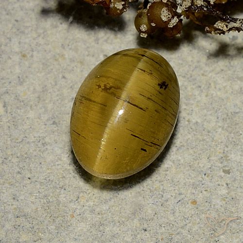 2.63ct Naturale Giallo terroso Apatite effetto occhio di gatto, Ovale, Traslucido