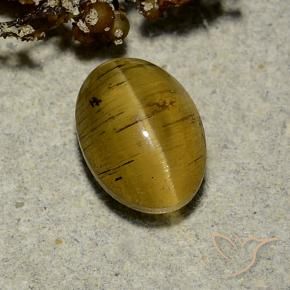 Apatite occhio di gatto Giallo terroso naturale da 2.63 ct, Ovale, Traslucido