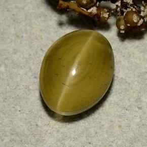 Apatite occhio di gatto Giallo medio naturale da 3.35 ct, Taglio ovale, Traslucido