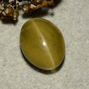 Apatite occhio di gatto Giallo medio naturale da 3.35 ct, Taglio ovale, Traslucido
