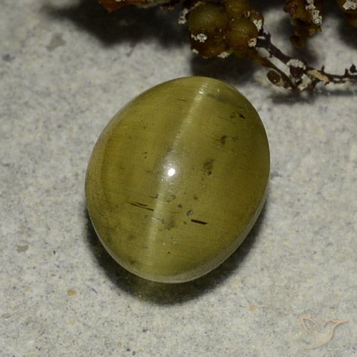 3.68ct Naturale Giallo neutro Apatite effetto occhio di gatto, Ovale, Traslucido
