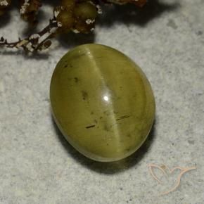 Apatite occhio di gatto Giallo neutro naturale da 3.68 ct, Ovale, Traslucido