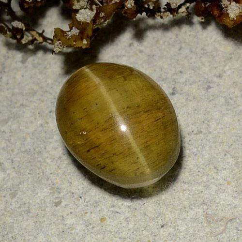 2.50ct Naturale Giallo Marrone Apatite effetto occhio di gatto, Ovale, Traslucido