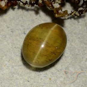 Apatite occhio di gatto Giallo Marrone naturale da 2.50 ct, Ovale, Traslucido