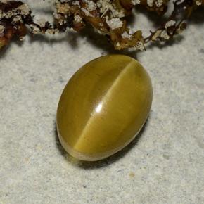 Apatite occhio di gatto Dorato naturale da 2.40 ct, Taglio ovale, Traslucido