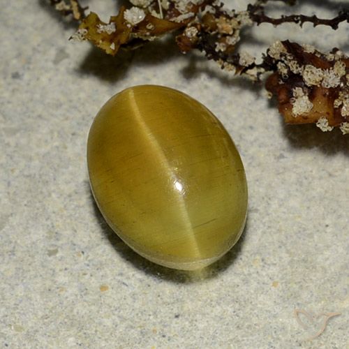 Cat's eye apatite naturale giallo da 2,68 ct, taglio ovale, traslucido