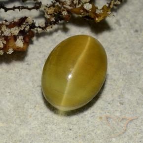 Cat's eye apatite naturale giallo da 2,68 ct, taglio ovale, traslucido
