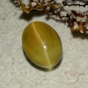 Cat's eye apatite naturale giallo da 2,68 ct, taglio ovale, traslucido